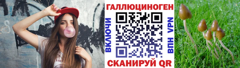 нарко площадка формула  гидра зеркало  Асино  Псилоцибиновые грибы Psilocybe 